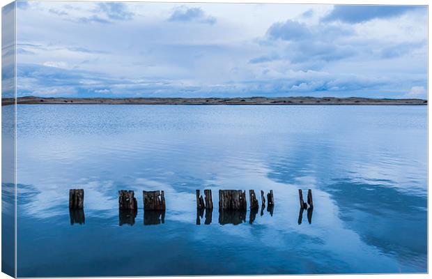 Pilings Canvas Print by Gary Finnigan