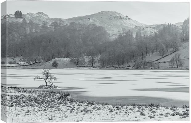 Frozen lake Canvas Print by Gary Finnigan