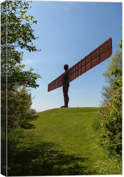 Angel of the North Canvas Print by Gary Finnigan