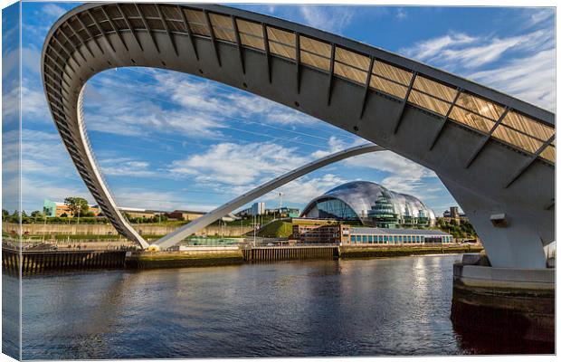 The Underbelly Canvas Print by Gary Finnigan