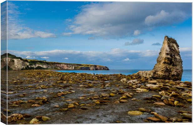 Pinnacle Canvas Print by Gary Finnigan