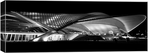 The empire of steel at night Canvas Print by Martin Beerens