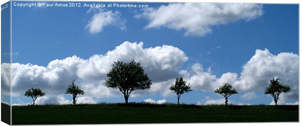 SkyLine Soldiers Canvas Print by Paul Amos