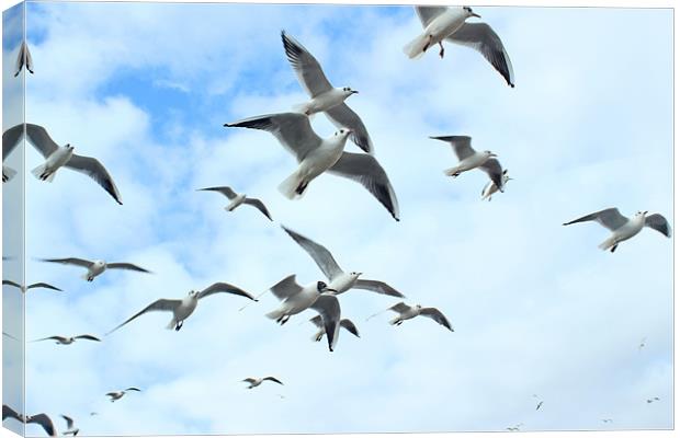 In Flight Canvas Print by