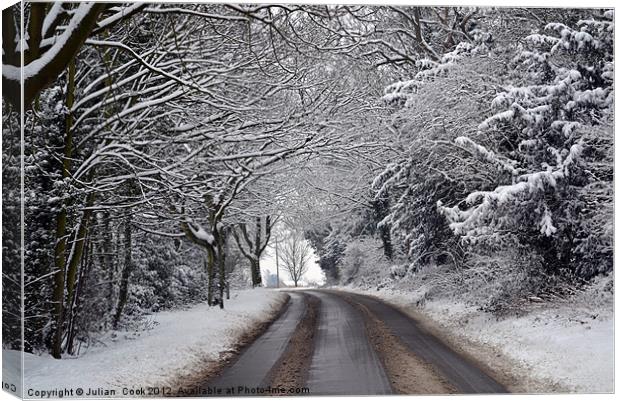 A Snowy Canopy Canvas Print by Julian  Cook