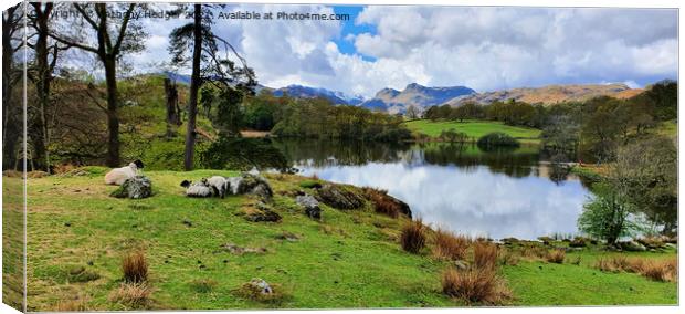  Loughrigg Tarn Canvas Print by Anthony Hedger