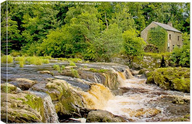 Cenarth Falls and Mill Canvas Print by Anthony Hedger