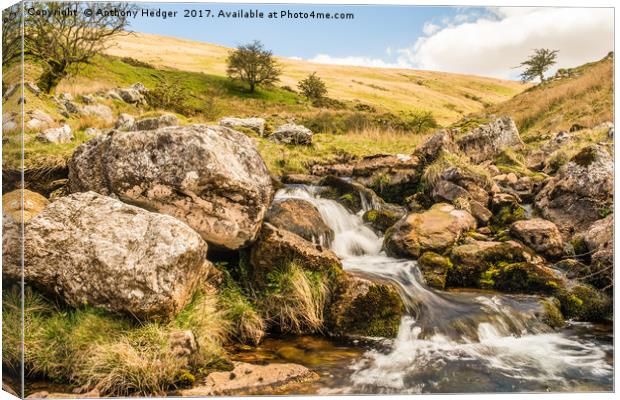 On the Black Mountain, Brecon Becons, Wales Canvas Print by Anthony Hedger