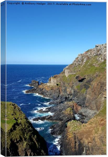 Botallack Mine Canvas Print by Anthony Hedger