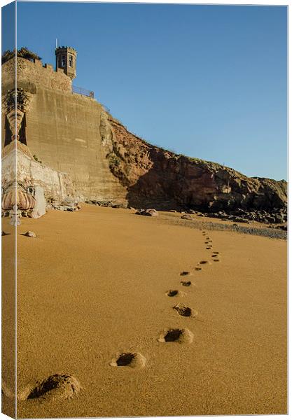 Sand Prints Canvas Print by Mike Dow