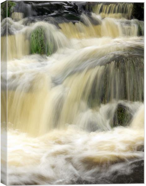 water fall Canvas Print by DAVID RICHARDSON