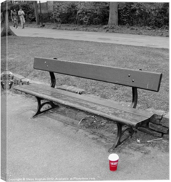 Abandoned in the park Canvas Print by Steve Hughes