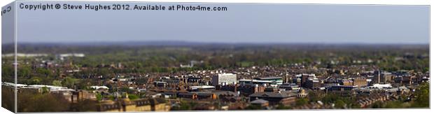 Guildford Panoramic Tilt Shift Canvas Print by Steve Hughes