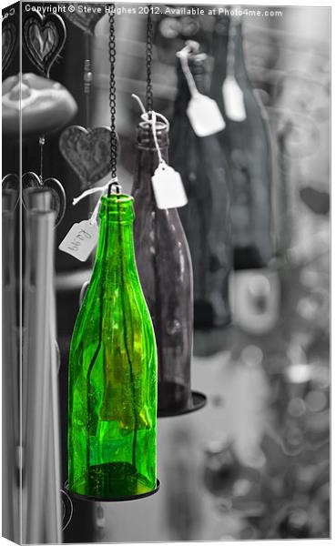 One Green Bottle hanging on wall Canvas Print by Steve Hughes