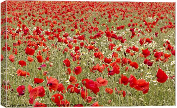 Sea of red Poppies Canvas Print by Steve Hughes