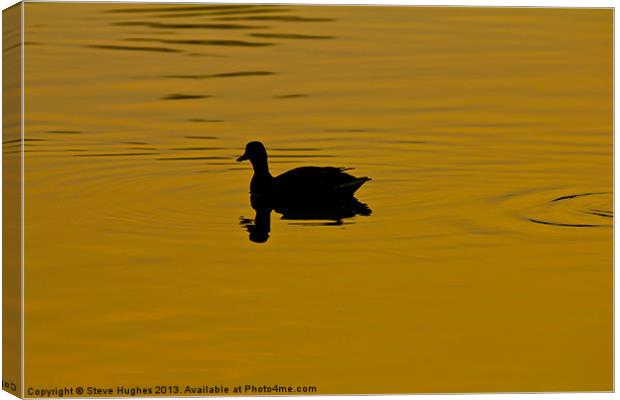 All Alone Canvas Print by Steve Hughes