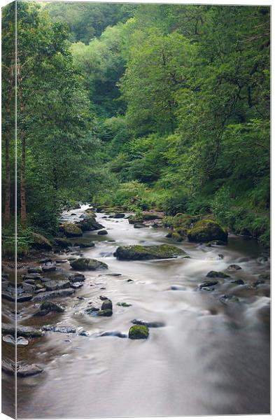 East Lyn river at Watersmeet Lynmouth Canvas Print by Steve Hughes