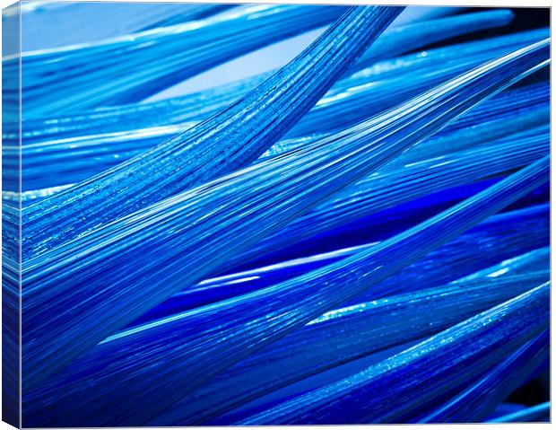 Blue Murano Glass abstract Canvas Print by Steve Hughes
