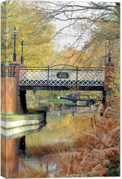 Kiln Bridge in Autumn Canvas Print by Steve Hughes
