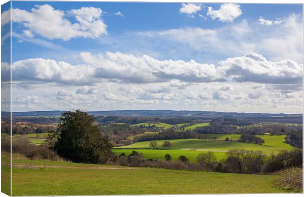 Spring views from Newlands Corner. Canvas Print by Steve Hughes