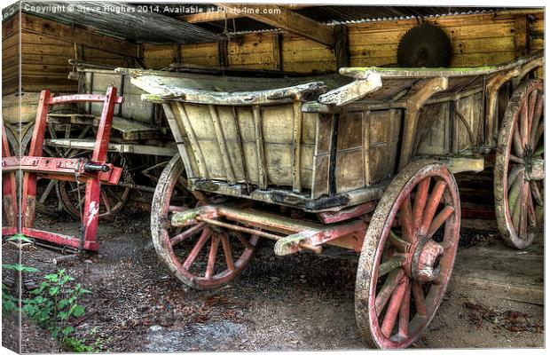 Vintage farm hay carts Canvas Print by Steve Hughes
