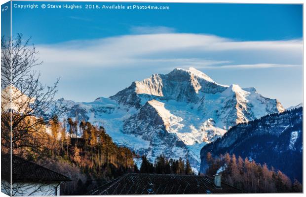 The Swiss Alps Canvas Print by Steve Hughes