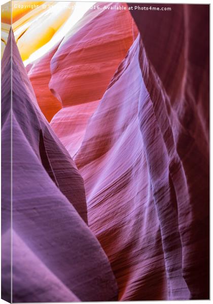 Colours in the rocks of Lower Antelope Canyon Canvas Print by Steve Hughes