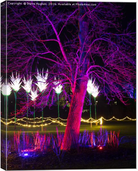 Purple tree at Christmas Glow at RHS Wisley Canvas Print by Steve Hughes