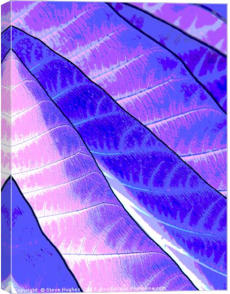 Purple leaves Canvas Print by Steve Hughes