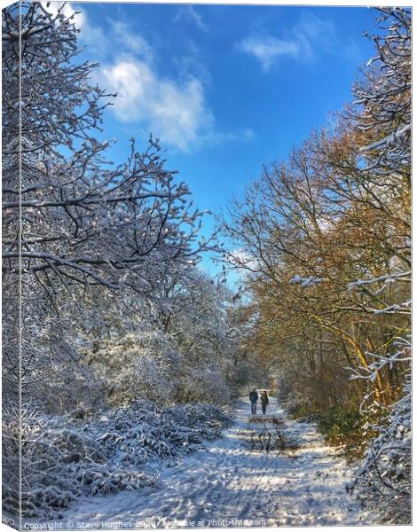 Snowy walk at Newlands Corner Canvas Print by Steve Hughes