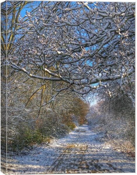 Along the snowy path Canvas Print by Steve Hughes