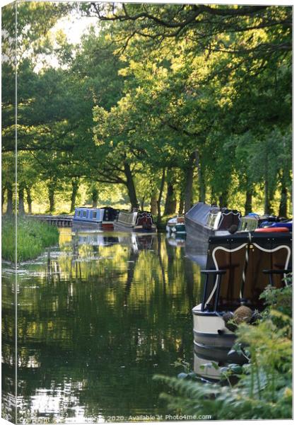 Boats on the Basingstoke canal Canvas Print by Steve Hughes