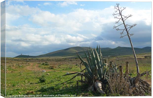 Clearing skies Canvas Print by Digby Merry