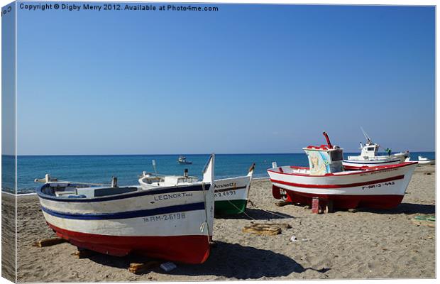 Beached boats Canvas Print by Digby Merry