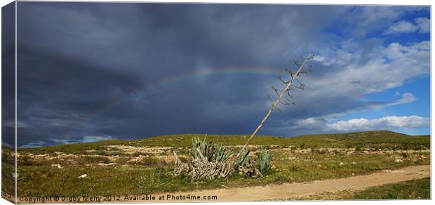 Agave with rainbow Canvas Print by Digby Merry