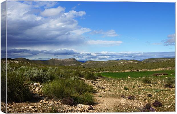 Landscape of the estepa Canvas Print by Digby Merry