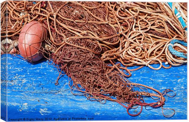 Nets, rope and boat Canvas Print by Digby Merry