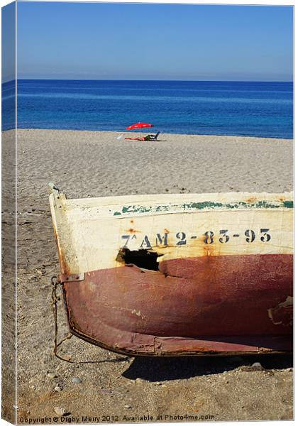 Boat on the beach Canvas Print by Digby Merry