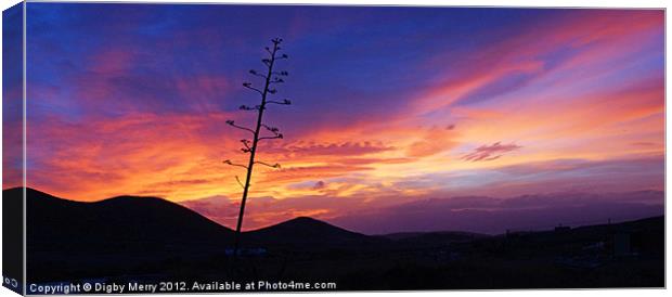 Almerian Sunset  2 Canvas Print by Digby Merry