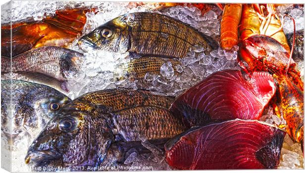 Seafood Canvas Print by Digby Merry