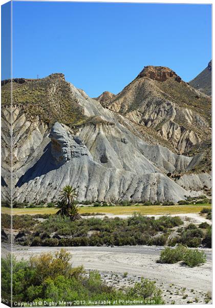 Landscape of Tabernas Canvas Print by Digby Merry