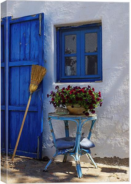 Blue and broom Canvas Print by Digby Merry