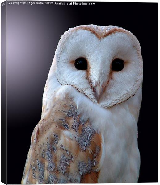 Barn Owl by Moonlight Canvas Print by Roger Butler
