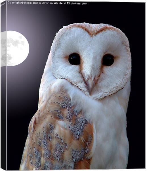 Barn Owl by Full Moon Canvas Print by Roger Butler
