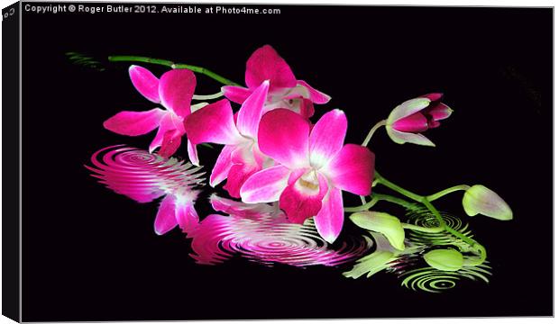 Fallen Orchid Canvas Print by Roger Butler