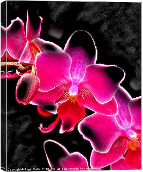 Neon Orchid Canvas Print by Roger Butler