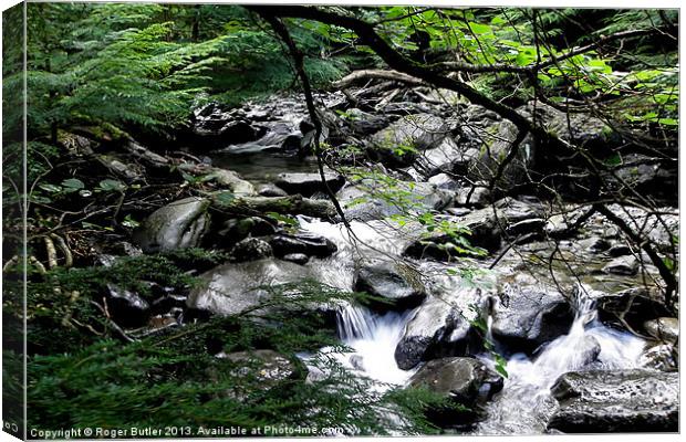 Hidden Valley Canvas Print by Roger Butler