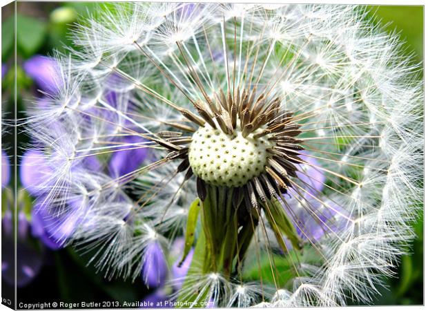 What Time Is It ........ ? Canvas Print by Roger Butler