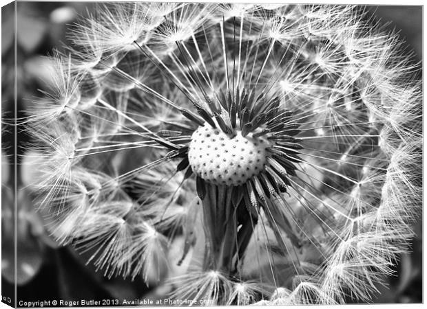 What Time Is It ..... B/W ? Canvas Print by Roger Butler