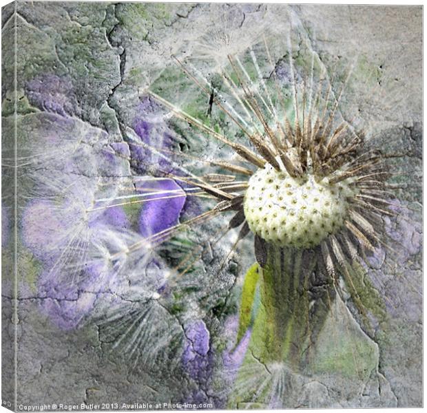 The Dandelion Cracked Canvas Print by Roger Butler
